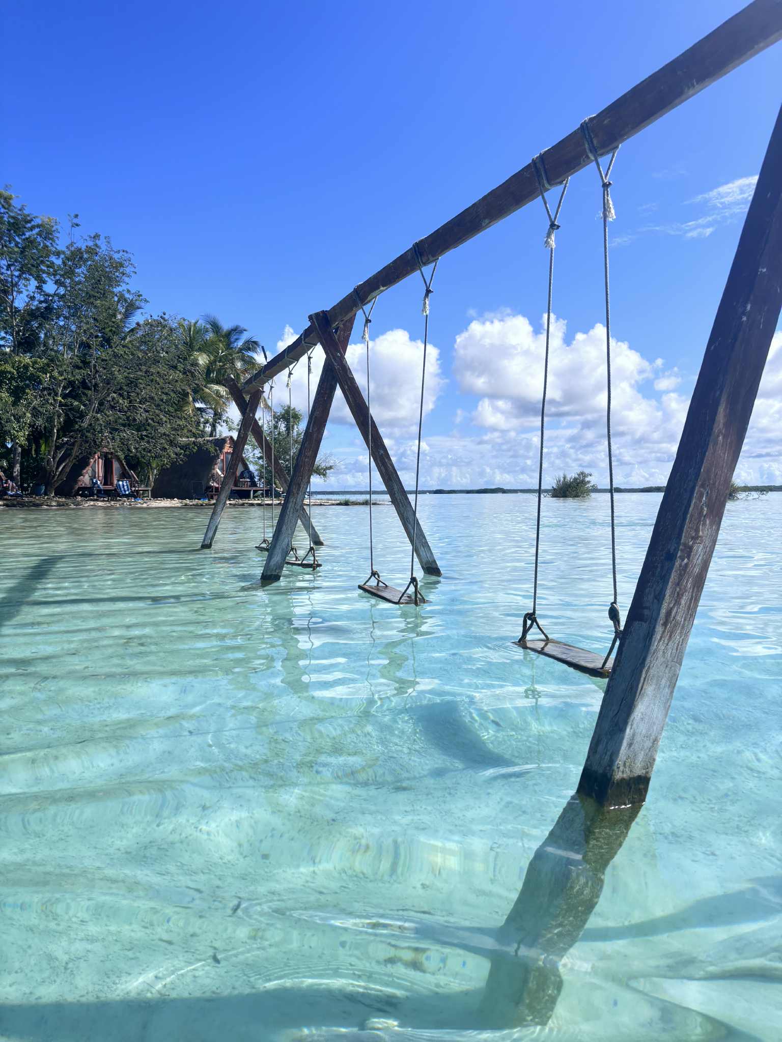 8831d10f 6f69 4c12 B2fd 447da5b36746