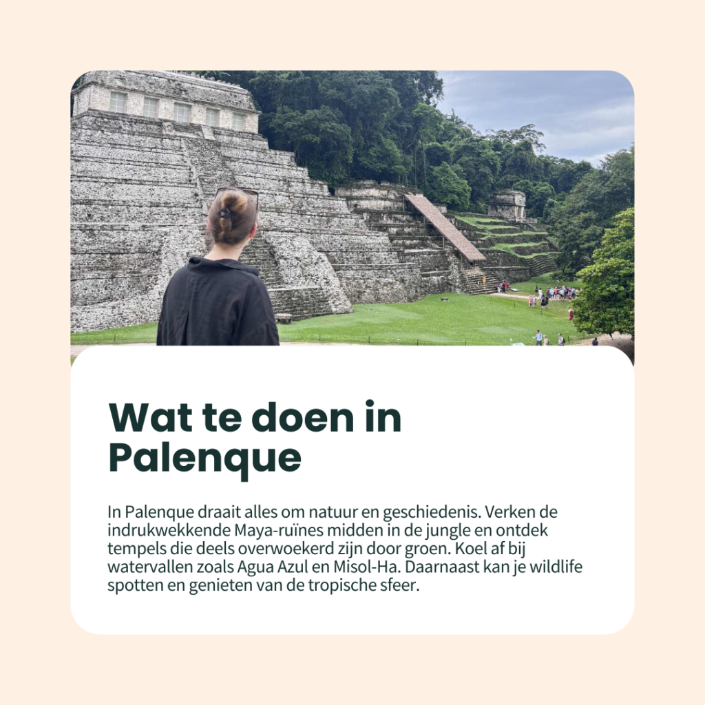 wat te doen in palenque