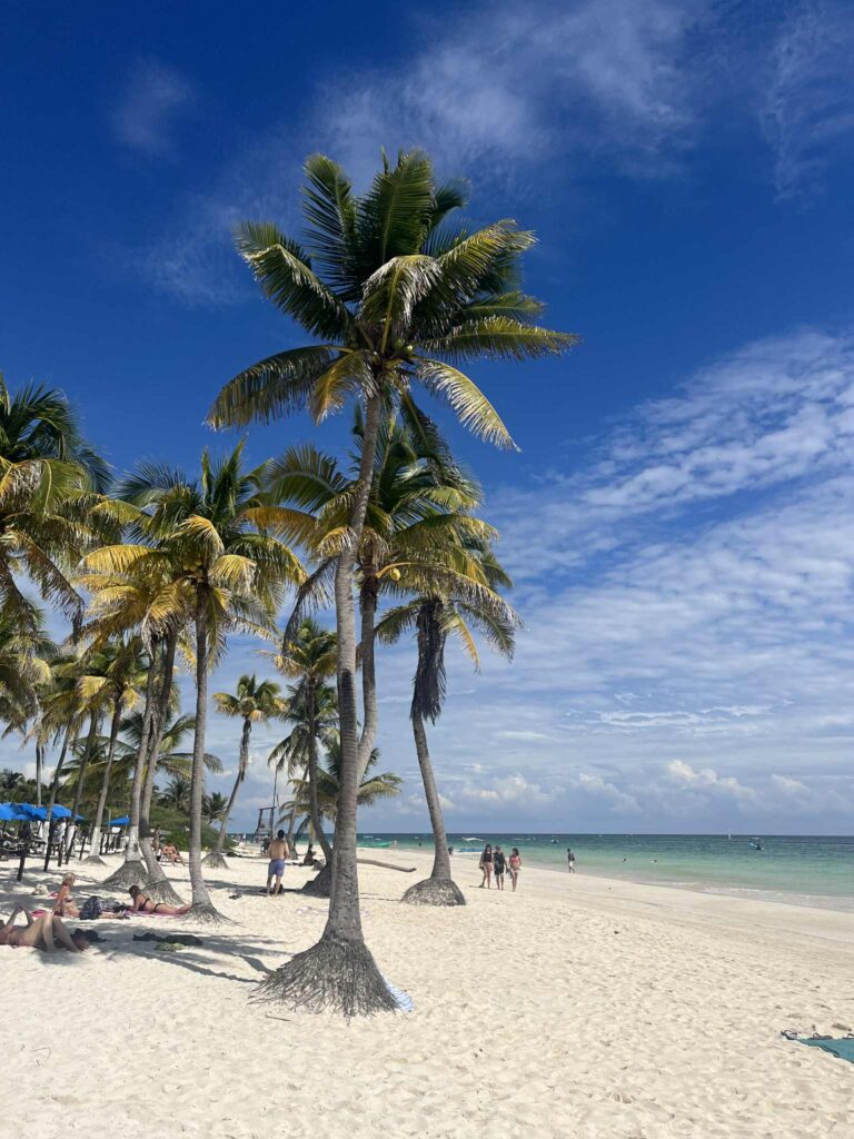 2c172c2c bee9 4f4a 9863 d25e4046ead7