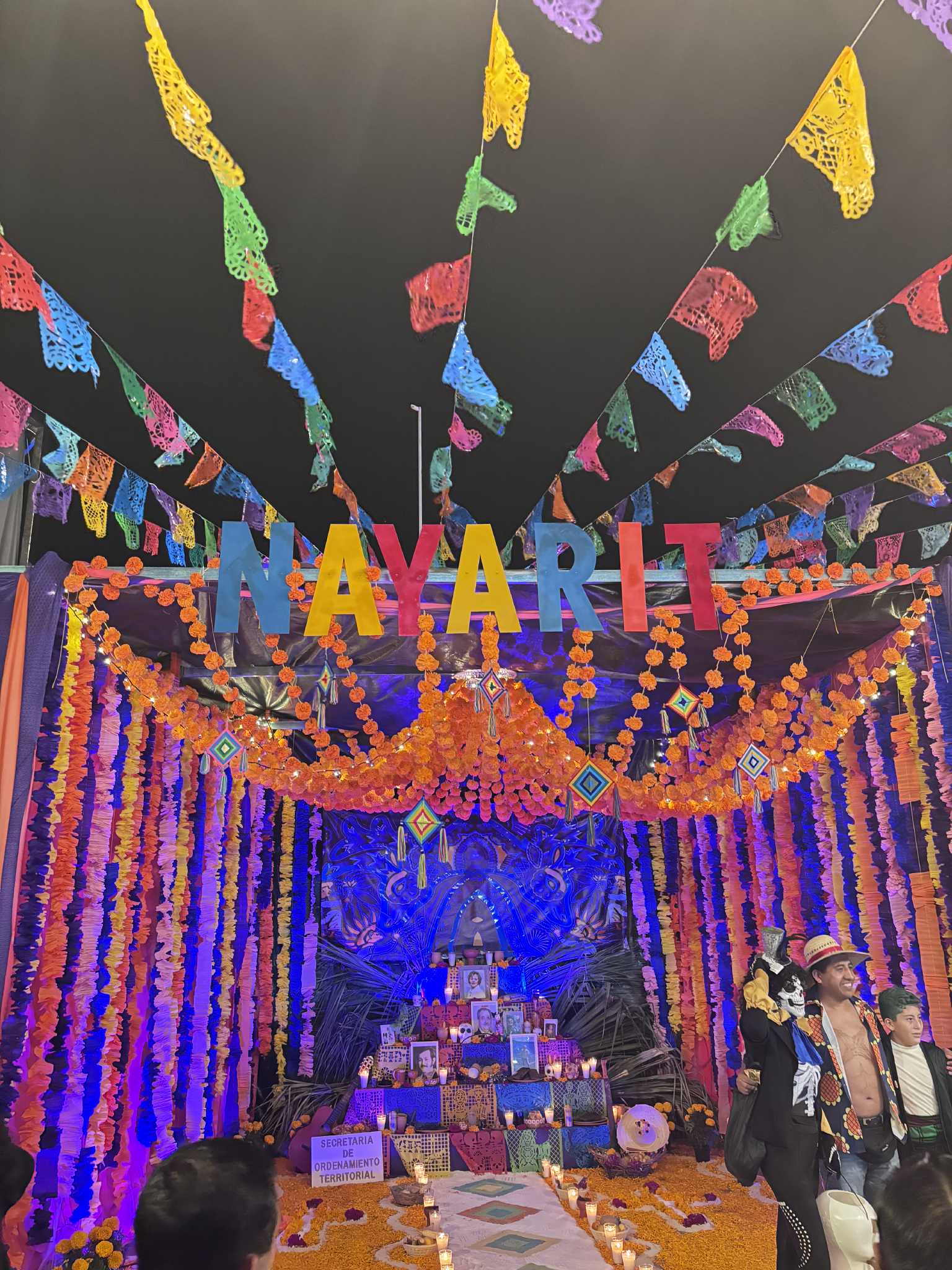 47a8a0e7 e3e5 40e2 ad3f b37ea8ab401c