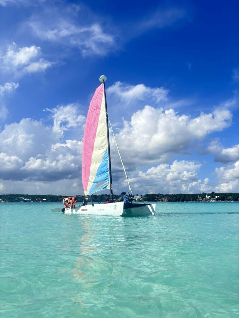 5bc7dfb6 d559 4c15 a757 be41ce489523