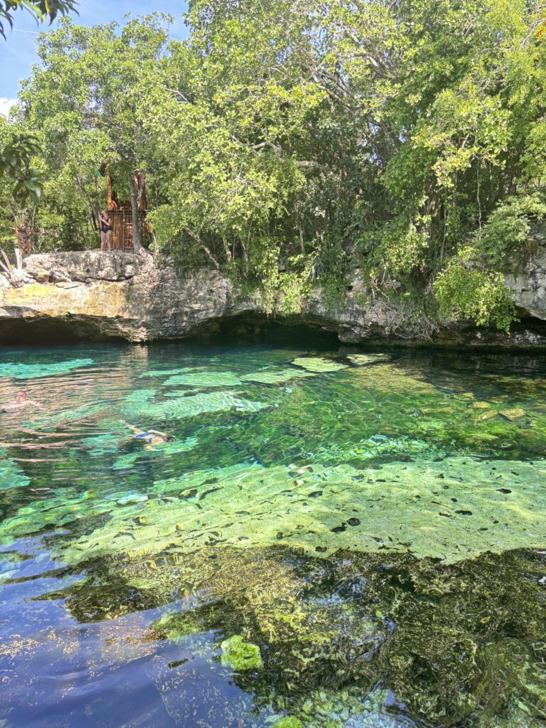 Wat te doen in Playa Del Carmen 5bea4e71 7786 4a00 af6b bb757886a31b