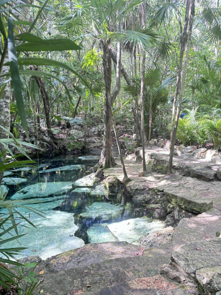 Wat te doen in Playa Del Carmen 5c954db4 1e13 4899 94c8 0153929e1362