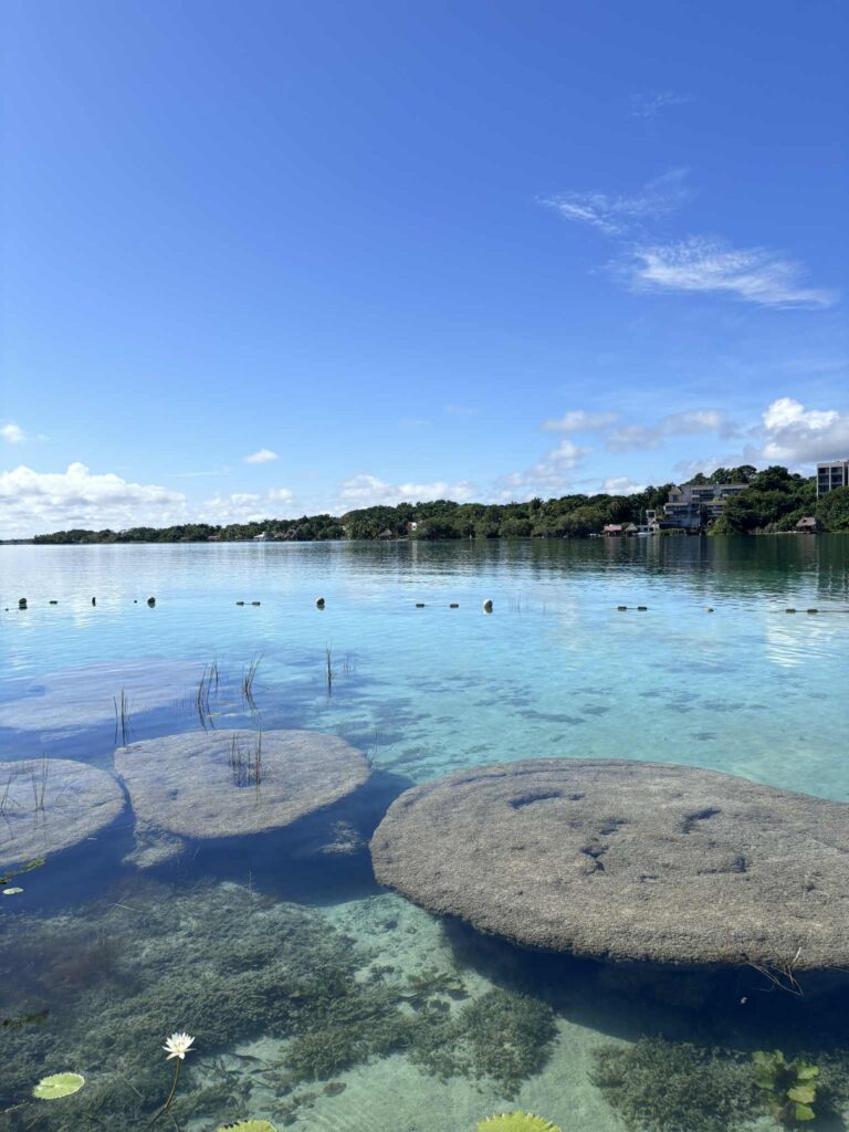 60ce313c c7d7 4e75 bcc7 b2185b951812