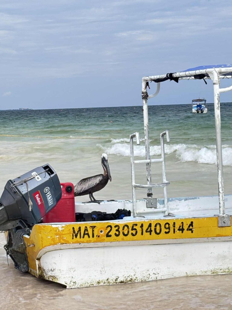 621523b3 8bb7 479b b242 05e602ee4573