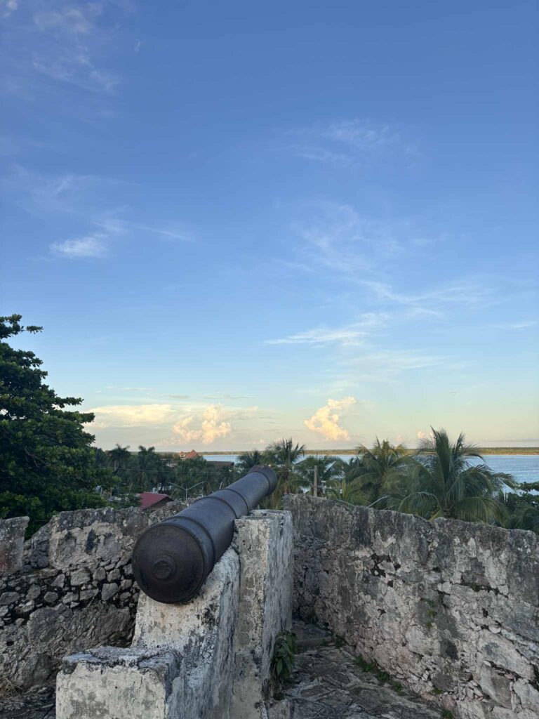 6b61df07 5b33 4c15 8823 56a77d67ea2b