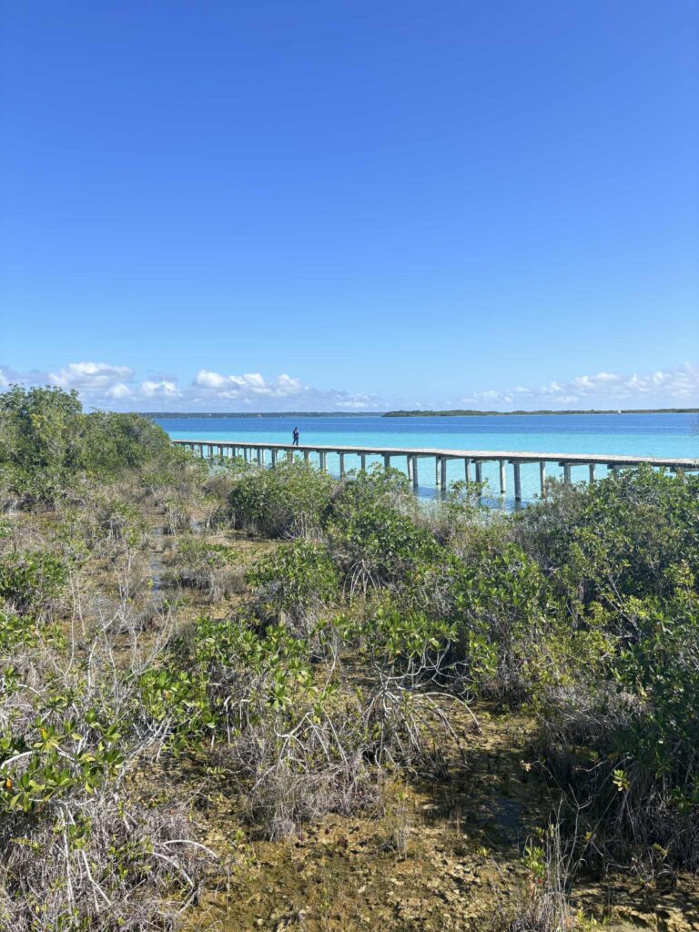 7aa07284 10e8 465d a5b0 7037c4c98843