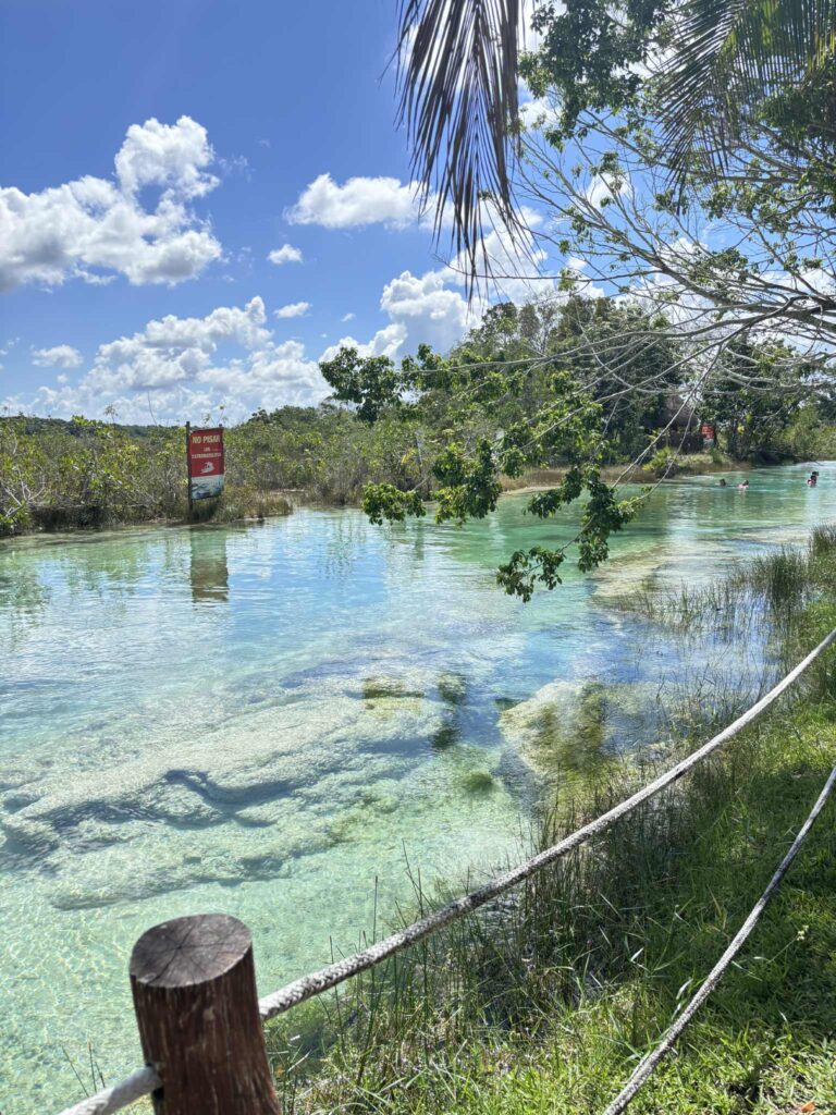 84e5919b 1d19 4d9d 9bf9 35eb76ca6f0a