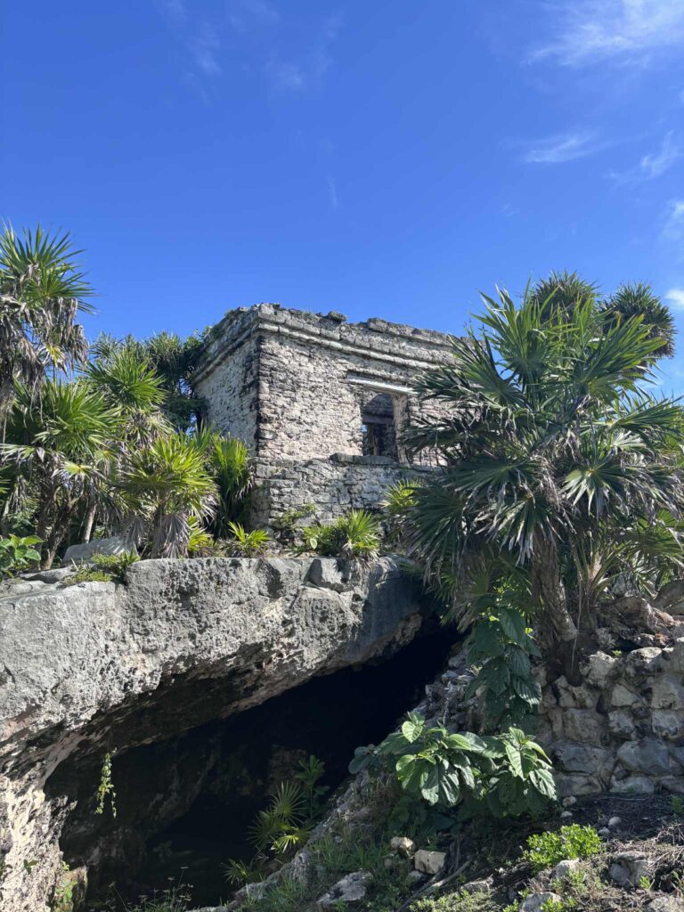 85806a99 15bf 4759 9ade 51cd72d9f81d