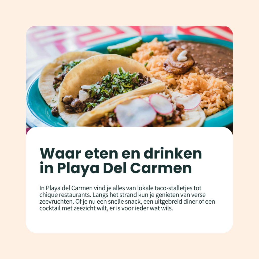 blogberichten playa (2)