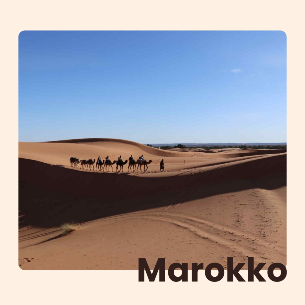 reisbestemmingen web (1)