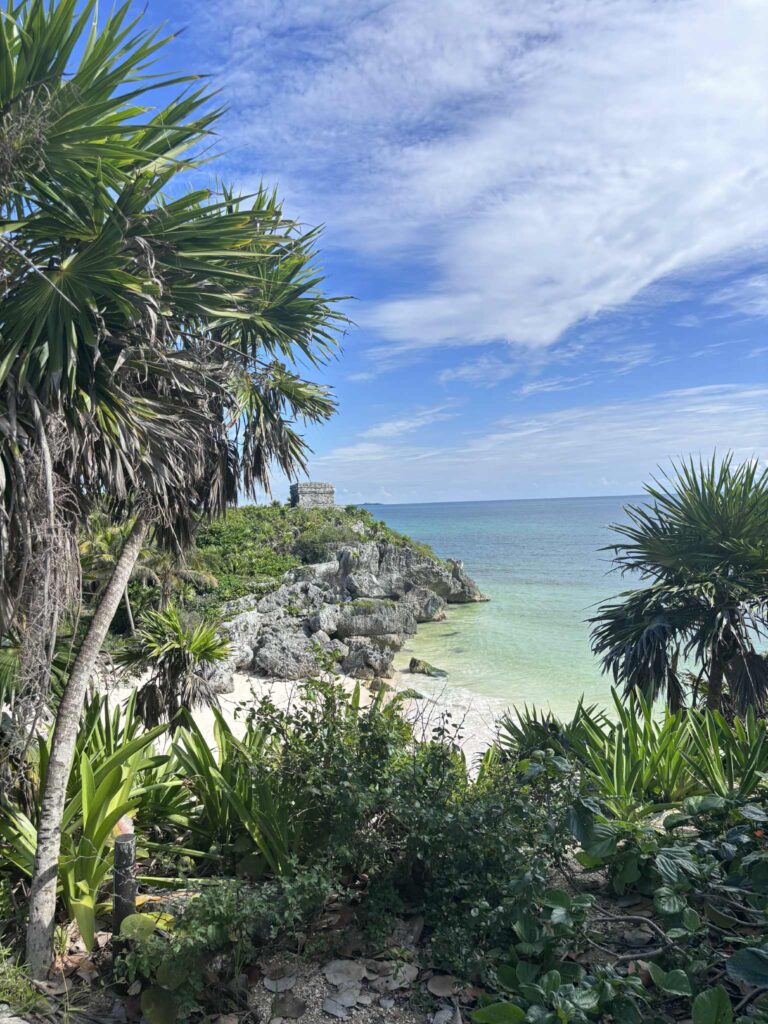 c5f31d43 137c 4ece 8352 326e9231c831