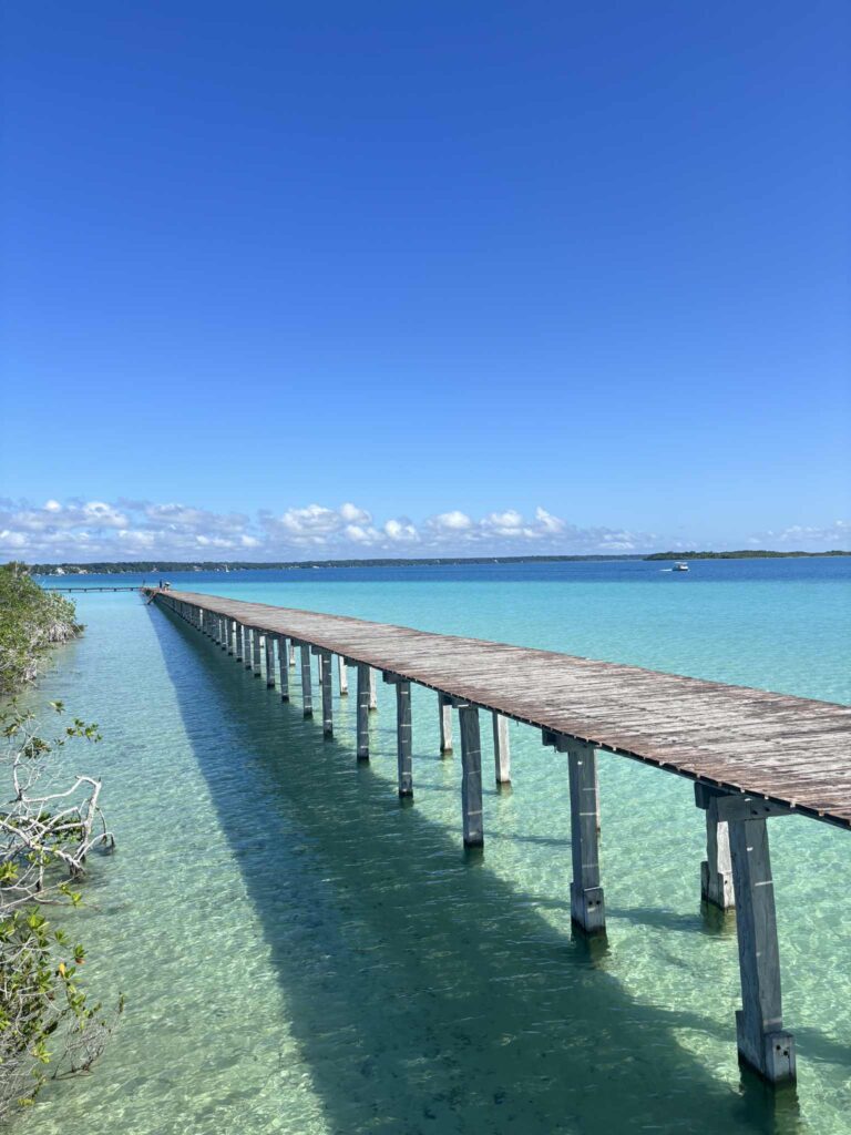 d22a9576 72c8 4fbb a680 1569bdf3f1dc