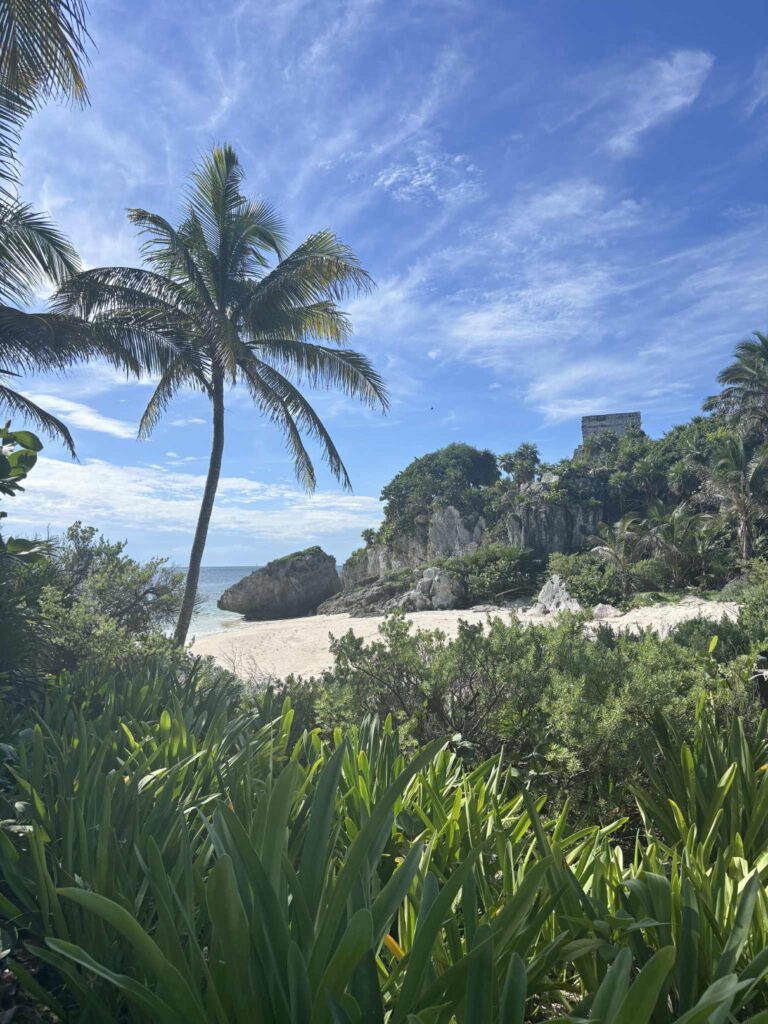 da43bb10 0890 4483 9336 673c0513befc