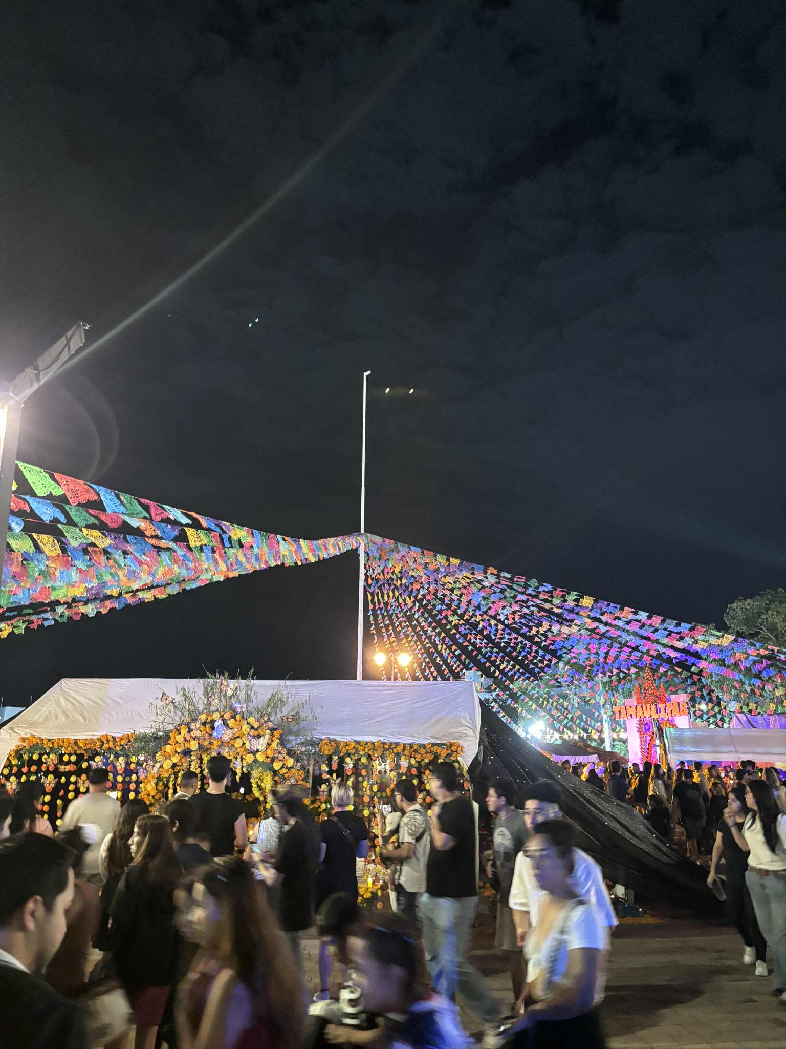 db0ba329 2a3c 4424 990c 0116db20446c