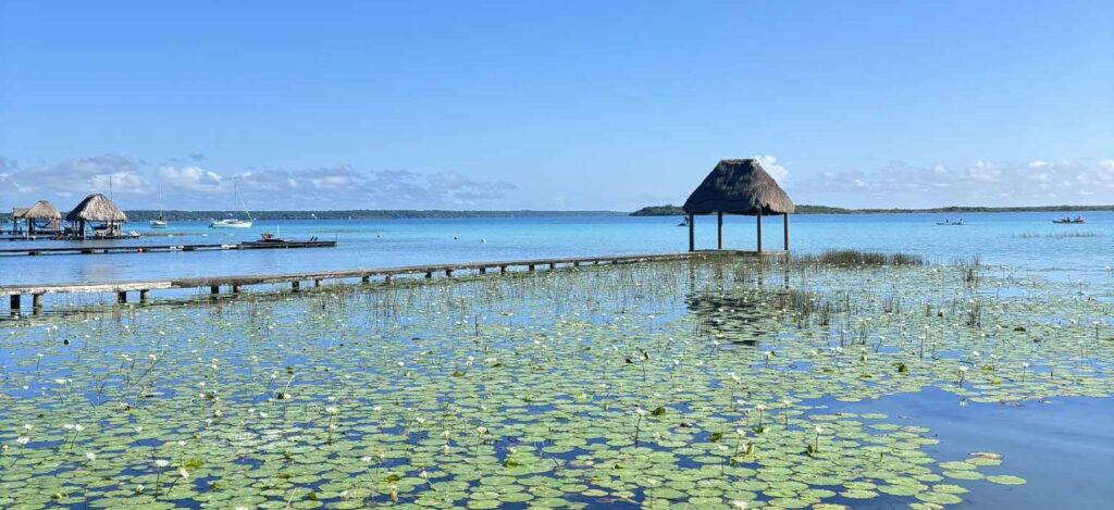 e23ebb62 648d 4bfb a1ec 74f20404827b klein