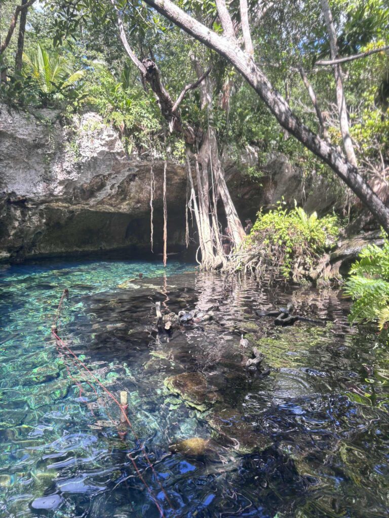 fa9e1cc8 fb8e 4b4e b6f6 01c34cf2a3ae