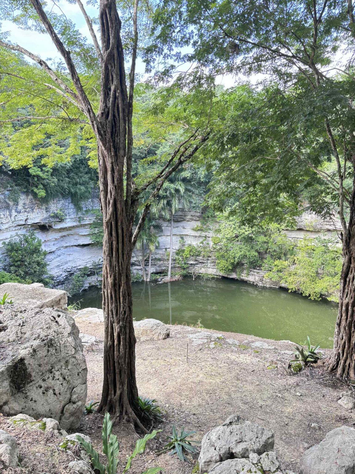 01b014ba 508c 4430 92c7 c2d310e9bdd0