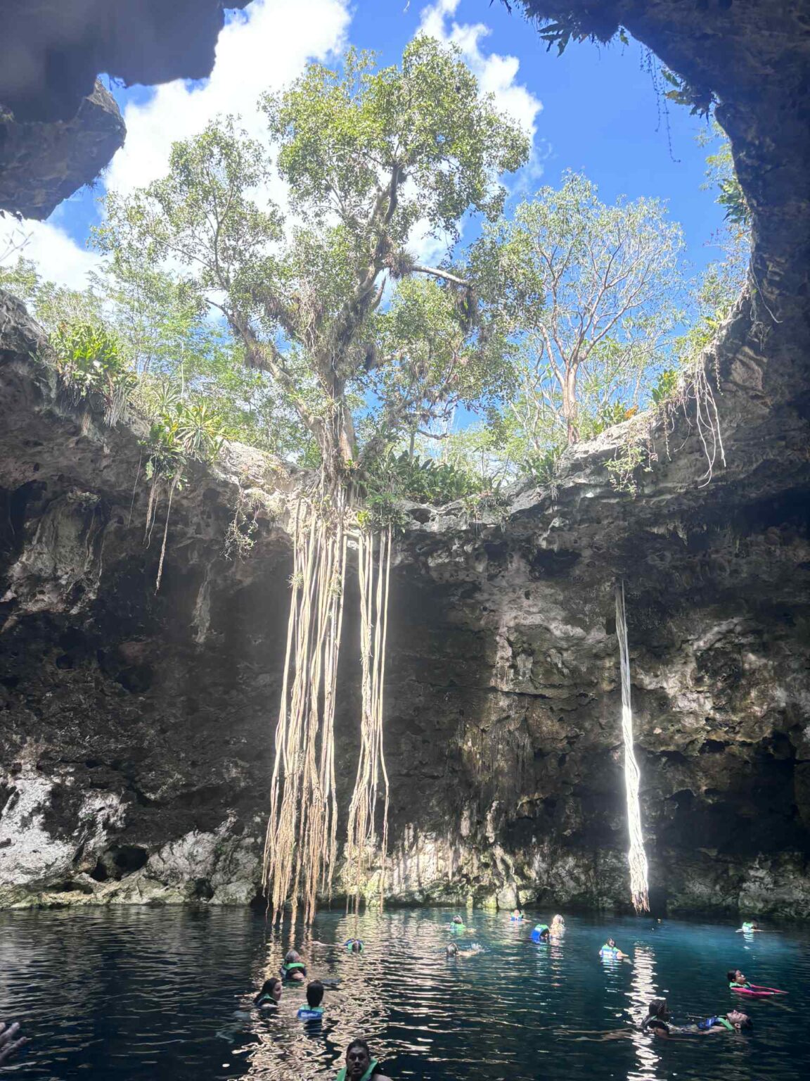 025d3f9f e112 4782 9cfd 165e2ba6c564