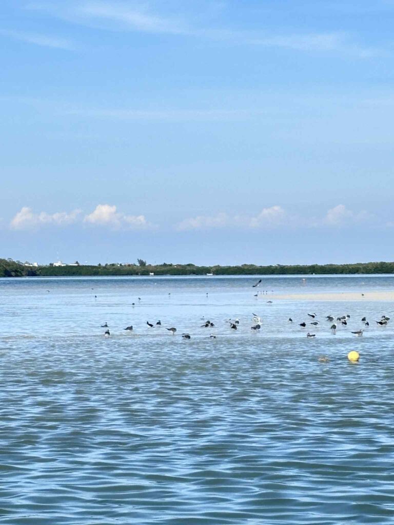 10afbca8 5985 4dcf b541 1805be95ea4c