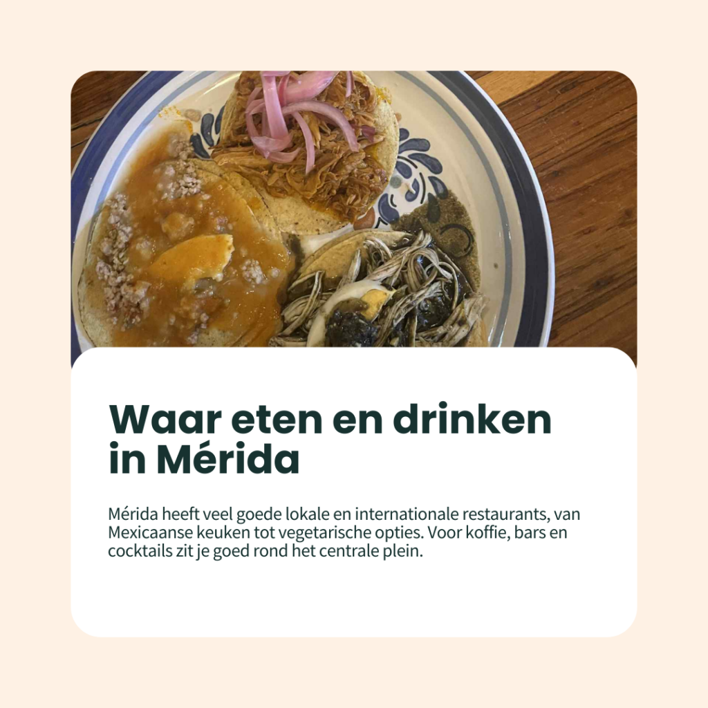 waar eten en drinken in merida