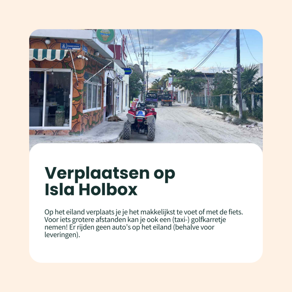 verplaatsen op isla holbox