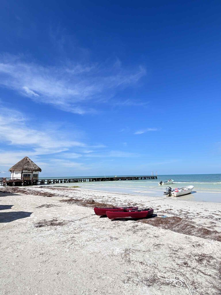 5a0b834c 3fac 435d bb29 dc2cb6be3f90 (1)