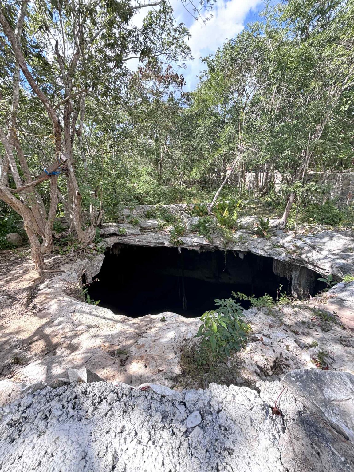 75b4fb57 e8db 439a 803e 86b39a505e19