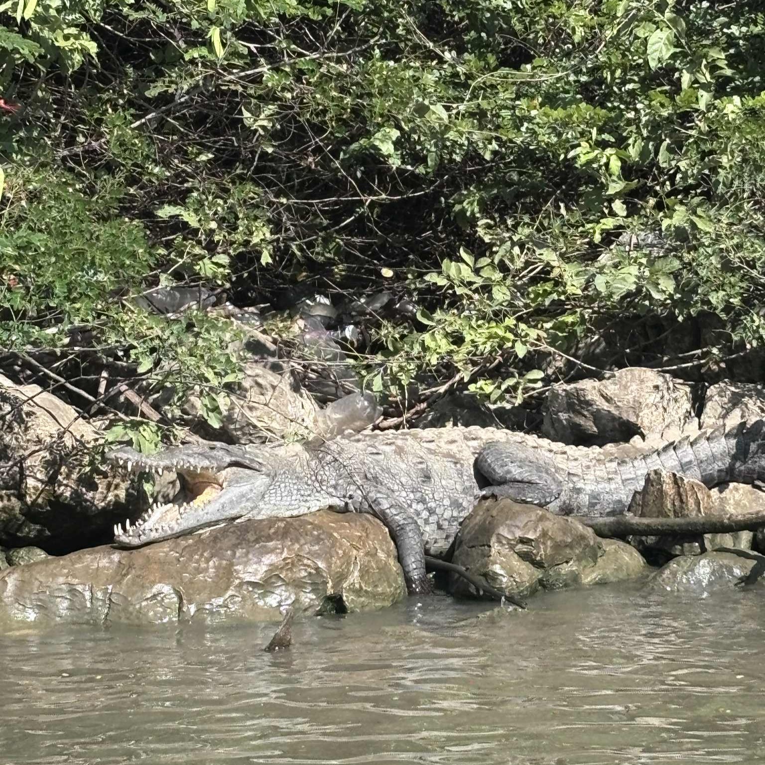 79f61c6e c2b7 4e39 8358 670605b2a615