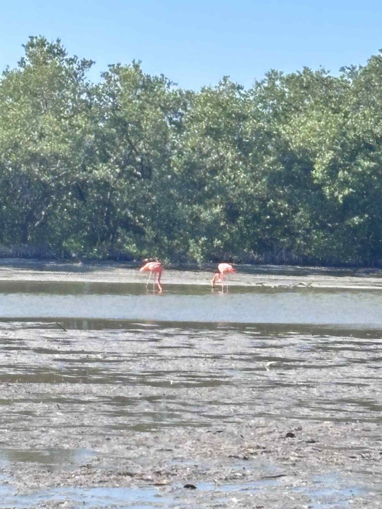 90d308f6 dad6 422f a51d 4eb645ccf651