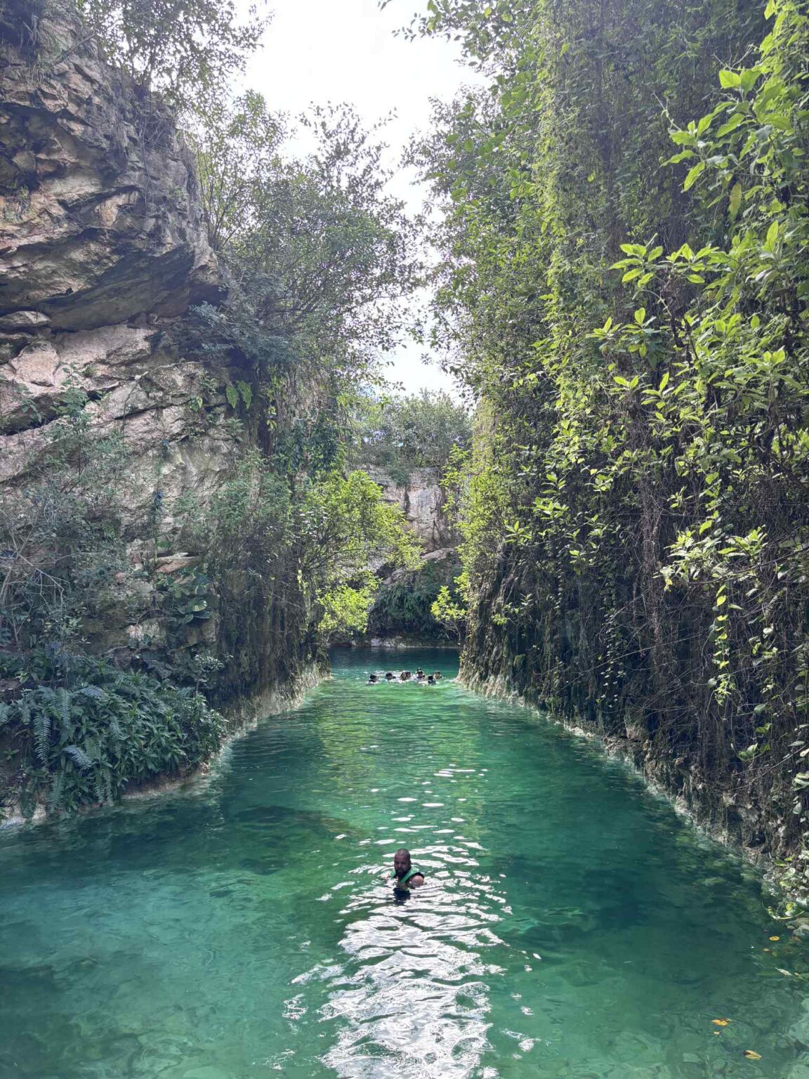 9ca9c30d b4e7 4c28 8785 d55bded0aa55