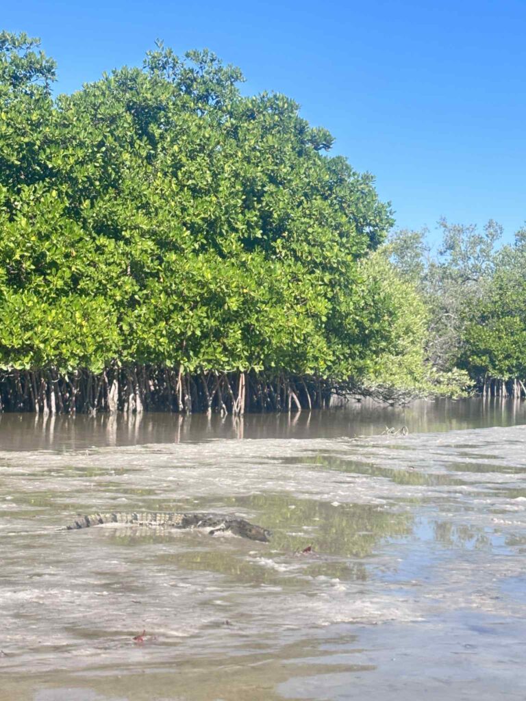 a2ae5df2 313f 45d6 99fa 784b2bbe880e