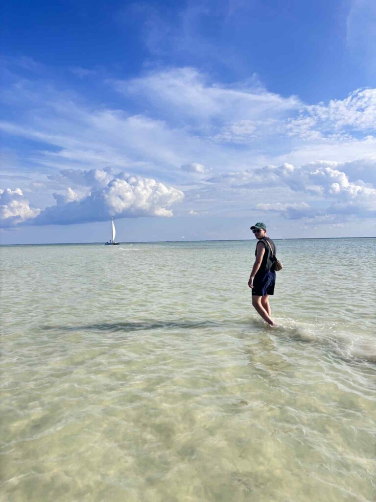 ac45800a 1334 4ff0 8e77 e6ed5076fbd4 (1)