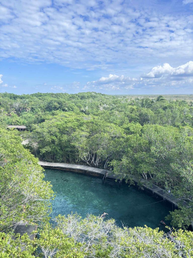 bb678fba 9ffa 4897 94dd 9d6932384bfb