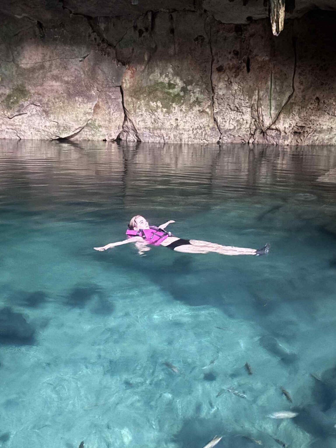 c840a7b0 3122 4228 b816 e04e1ac03b4b